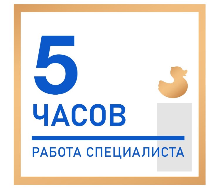 Работы специалиста в рамках пакета (5 часов)