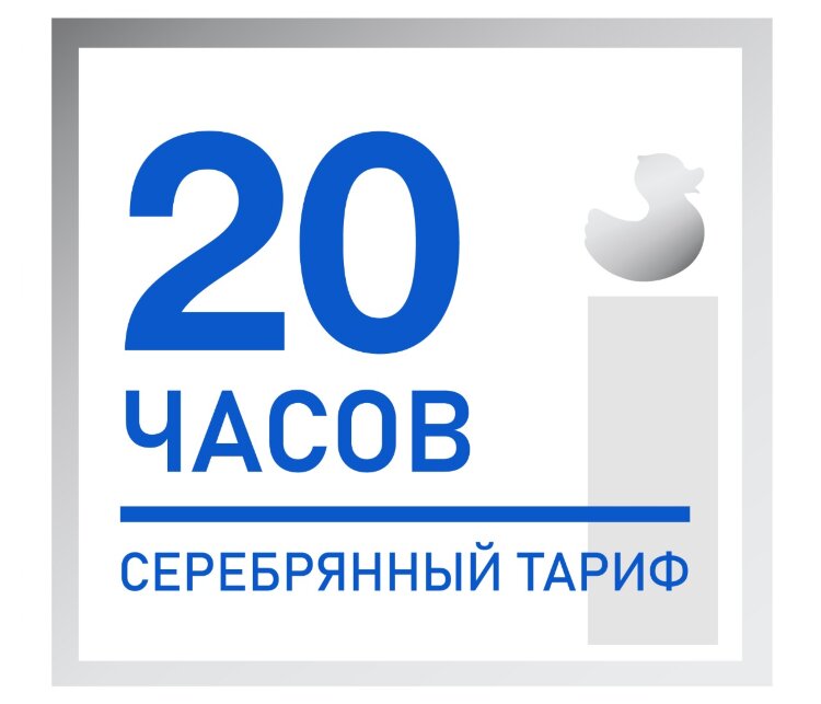 20 часов Серебряный Тариф