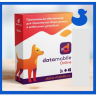 DataMobile, версия Online